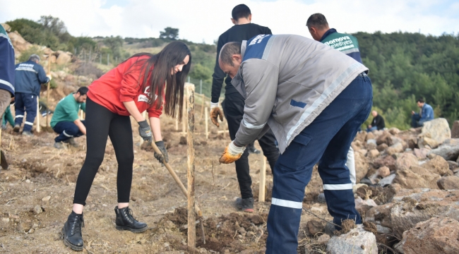 Bornova’ya yeni Misket Üzümü Bağı