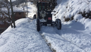 Doğu Karadeniz'de 217 köy yolu kardan kapandı; 5 ilçede okullar tatil