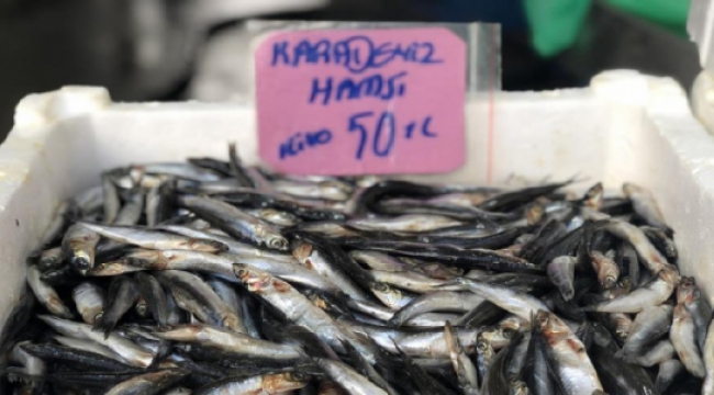 Hamsinin fiyatı cep yakıyor