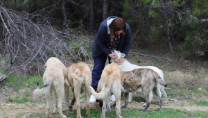 Başkan Kayalar: “Can Dostlarımızın Her Mevsim Yanındayız