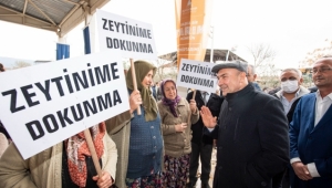 Başkan Soyer'den zeytinlik düzenlemesine tepki 
