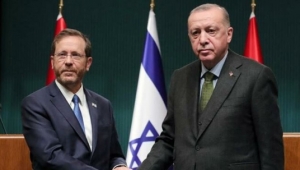Herzog, Erdoğan'la yaptığı görüşme sonrası basına konuştu
