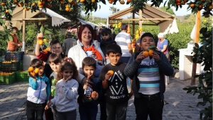 Mandalina üreticisinin işleme tesisi hasreti bitiyor!