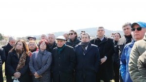 Zeytini en iyi beraber büyüdüğü insanlar savunur