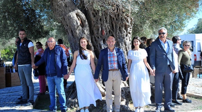 Zeytinliklerimizi ranta kurban ettirmeyeceğiz