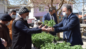 Bornova’da tarıma tam destek