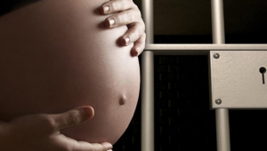 Kadın mahkumlar peş peşe hamile kalınca gerçek ortaya çıktı