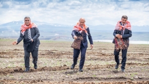 Soyer Kars'ta tarlaya indi 'kurda, kuşa, aşa' diyerek tohum serpti