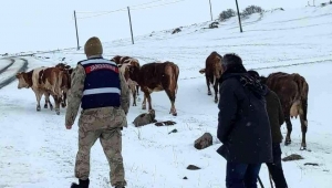 Ardahan'da hayvan otlatırken kaybolan yaşlı kadın bulundu
