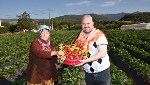 İzmir Çilek Festivali'nde buluşacak