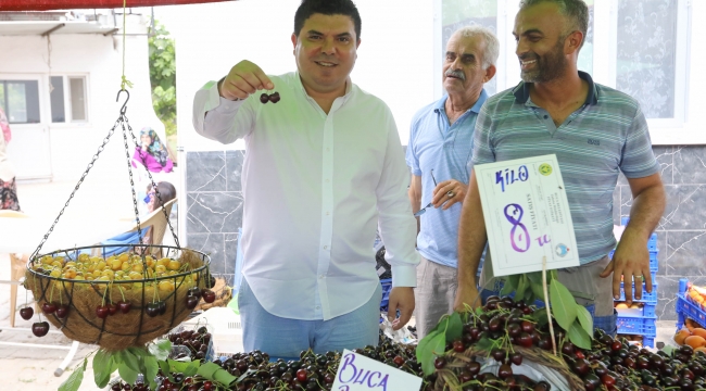 Buca’da Kiraz Festivali için geri sayım başladı