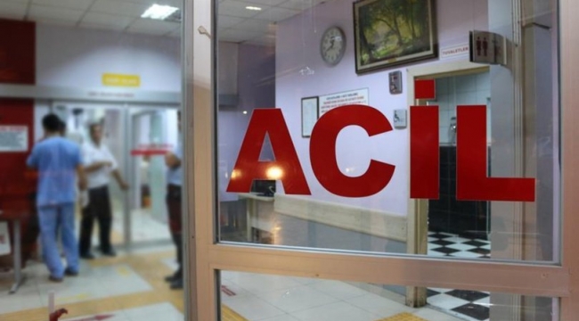 Ardahan'da sopalı kavgada 12 kişi yaralandı