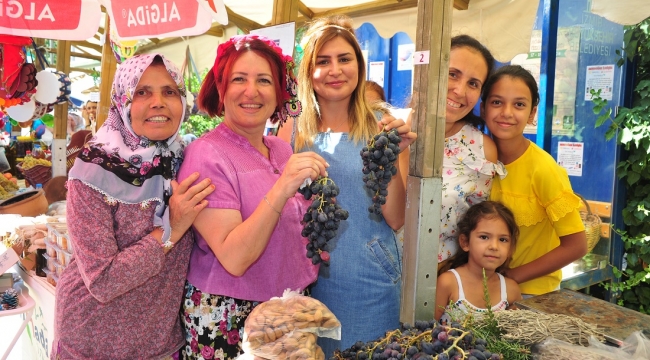 Kösedere Üzüm Şenliği’ne 13. Kez Merhaba