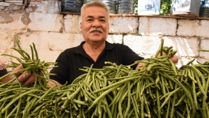 Torbalı Belediyesi kırsalı kalkındırıyor