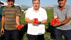 KINIK KURU DOMATESİ COĞRAFİ İŞARET ALDI 