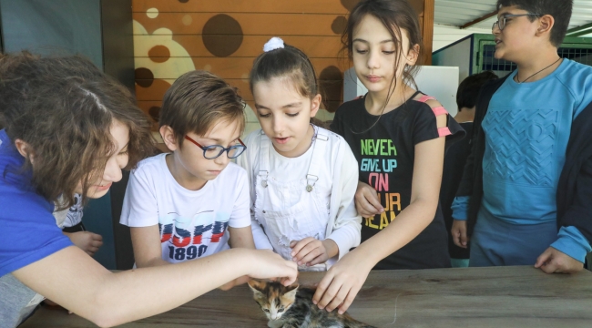 Buca Belediyesi bir gün değil her gün can dostlarının yanında