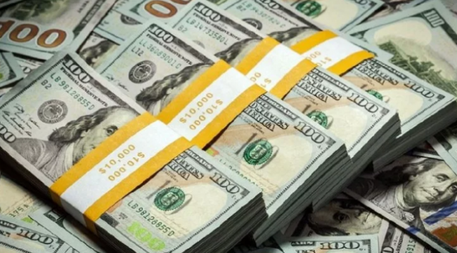 Dolar karşısında değer kazanan tek para birimi