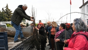Bornovalı çiftçiye 10 bin fidan