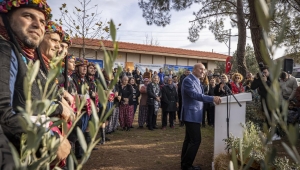 Zeytine saygıda kusur etmemek gerek