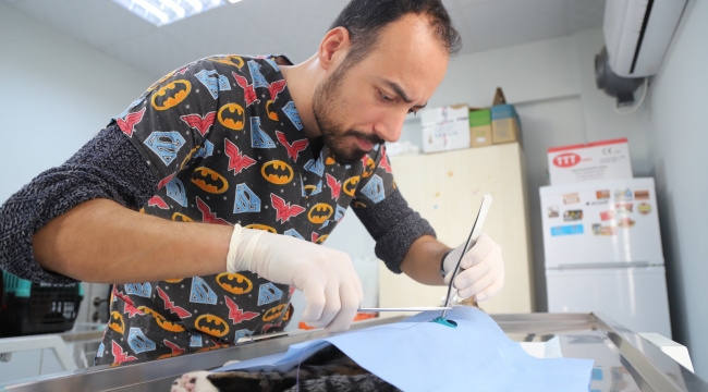 Hayvan Dostu Belediye: Menderes Belediyesi