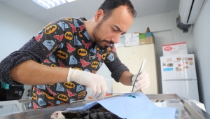 Hayvan Dostu Belediye: Menderes Belediyesi