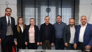 AK Partili Sürekli, 
