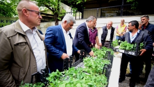 Bornova’da yerel üreticiye 500 bin fide