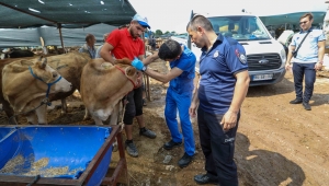 Buca Belediyesi’nde Kurban Bayramı mesaisi