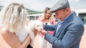 Pati dostları bu festivalde buluşacak
