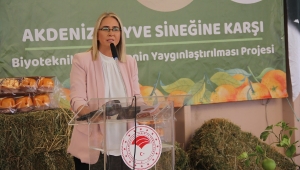  Ak Partili Çankırı'dan CHP'li Başkan Soyer'e 