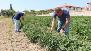 Bornovalı Çiftçiye Tam Destek
