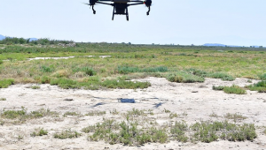İzmir’de sivrisinek ile dronlu mücadele