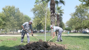 Bornova’da park yenileme hamlesi