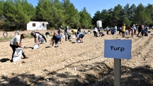 Kışlık sebze tohumları Bornova Belediyesi’nden