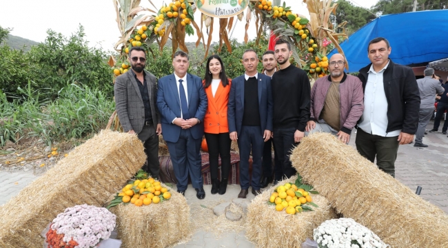 Mandalina Festivali Coşkuyla Gerçekleşti