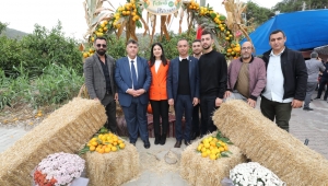 Mandalina Festivali Coşkuyla Gerçekleşti