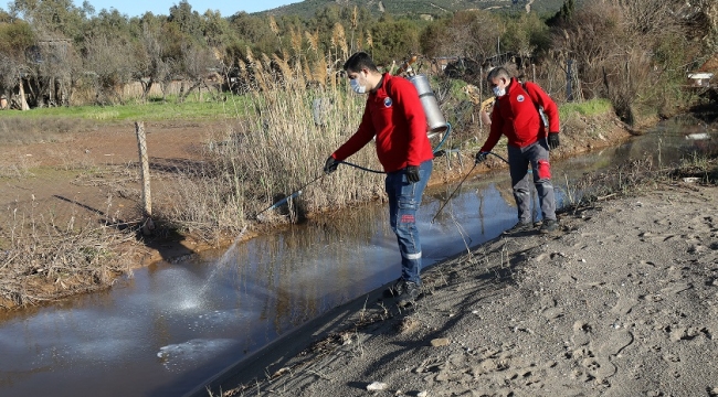 Menderes’te Larva Mücadelesi