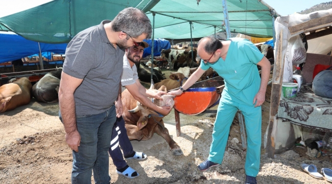  Bayraklı Belediyesi Kurban Bayramı’na hazır