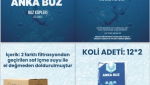  MELSE DAĞITIM GIDA PAZARLAMA İTHALAT İHRACAT SANAYİ VE TİCARET LİMİTED ŞİRKETİ