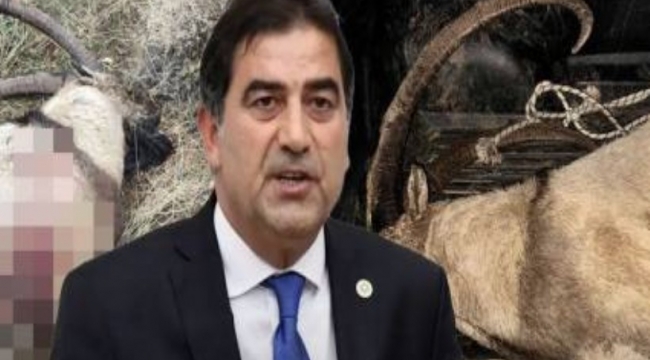 Kaçak avda yakalandı...'Keçiler neden azalıyor' diye TBMM'ye önerge verdiği ortaya çıktı