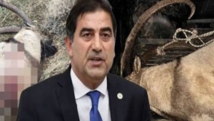 Kaçak avda yakalandı...'Keçiler neden azalıyor' diye TBMM'ye önerge verdiği ortaya çıktı
