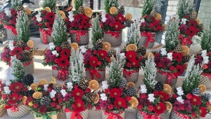 Didimli çiçekçilerde yeni yıl hareketliliği