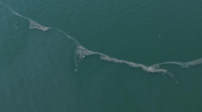 İzmir Körfezi göz göre göre kirletiliyor