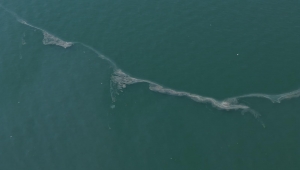 İzmir Körfezi göz göre göre kirletiliyor