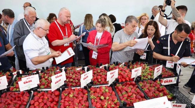 Çilek tadında festival, milyonu aşkın misafir ağırladı