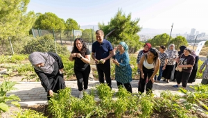 Mahalle bostanlarında üretim ve dayanışma büyüyor