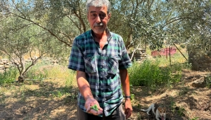 Menemen Belediyesi’nden tarıma asırlık hizmet!