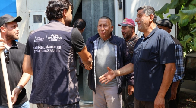 Büyükşehir tarım üreticisinin imdadına yetişti