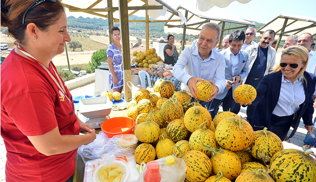 En İyi Kavunlar Görücüye Çıktı