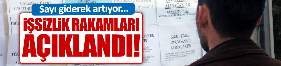 Kasım ayı işssizlik rakamları açıklandı